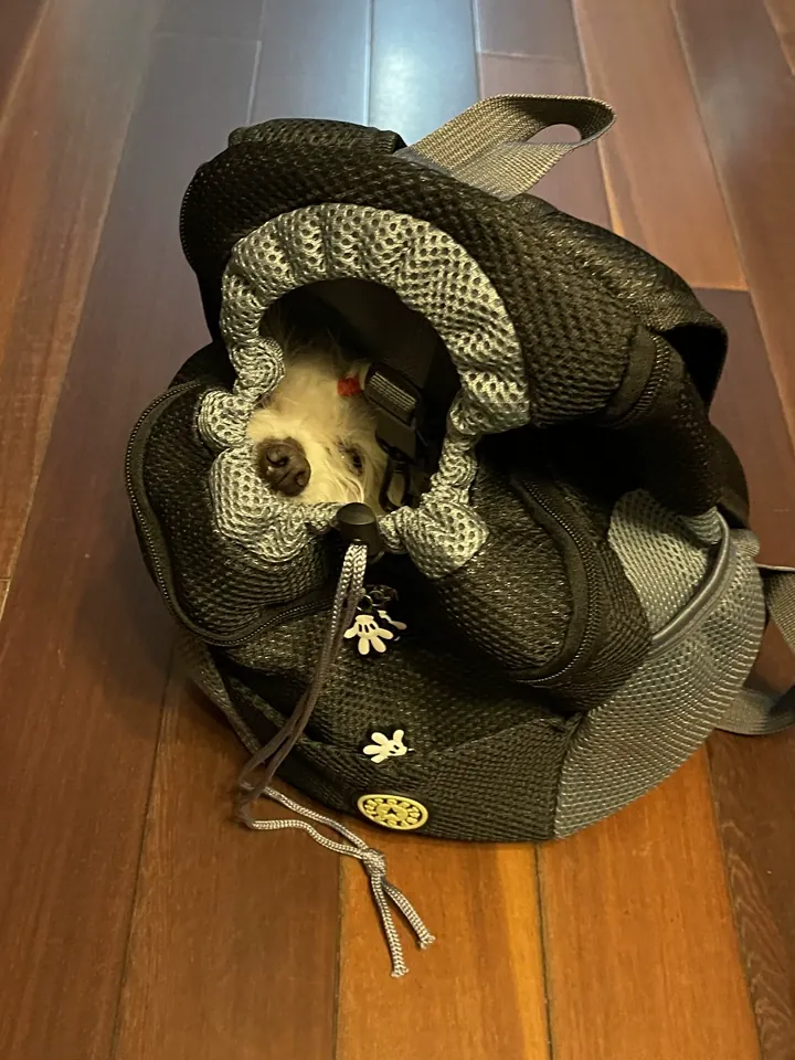 Sac De Transport Chien Vamos photo review