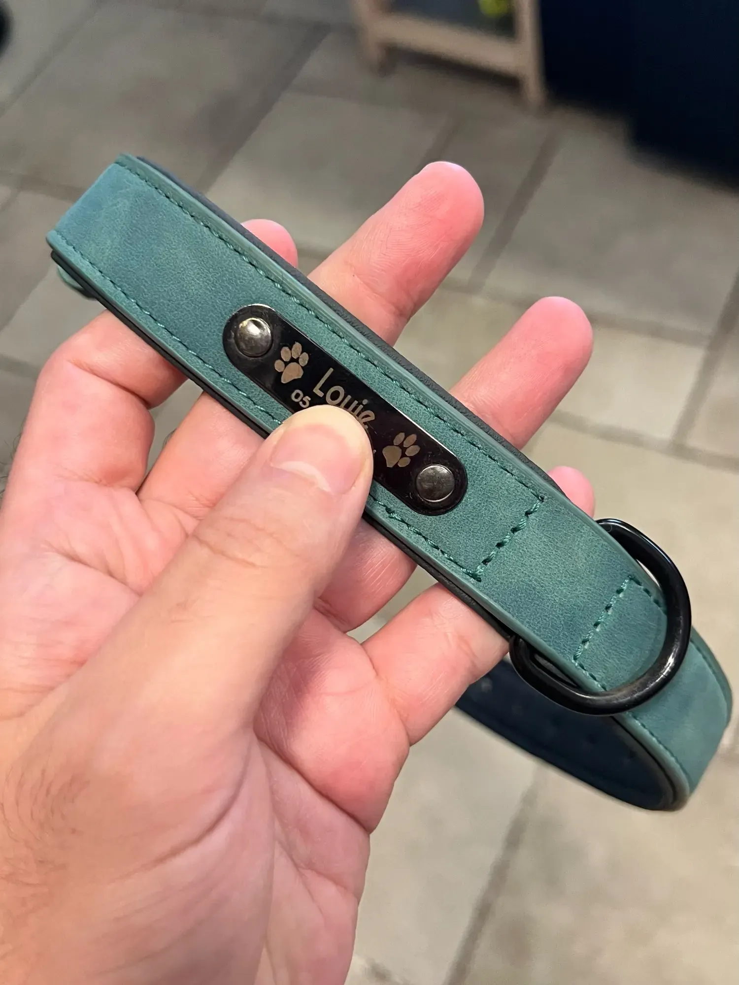 Collier Chien Cuir Personnalisable Beauty photo review