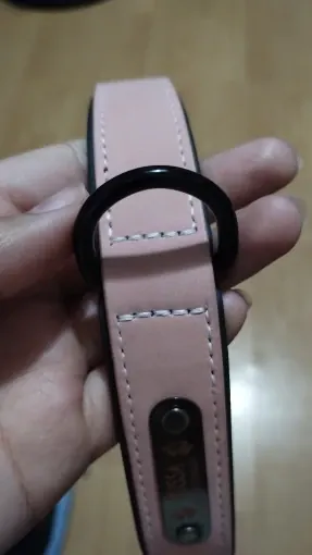 Collier Chien Cuir Personnalisable Beauty photo review