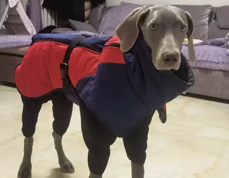 Manteau Imperméable Pour Chien Force photo review
