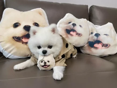 Coussin Chien Personnalisé à Posture Unique 3D photo review