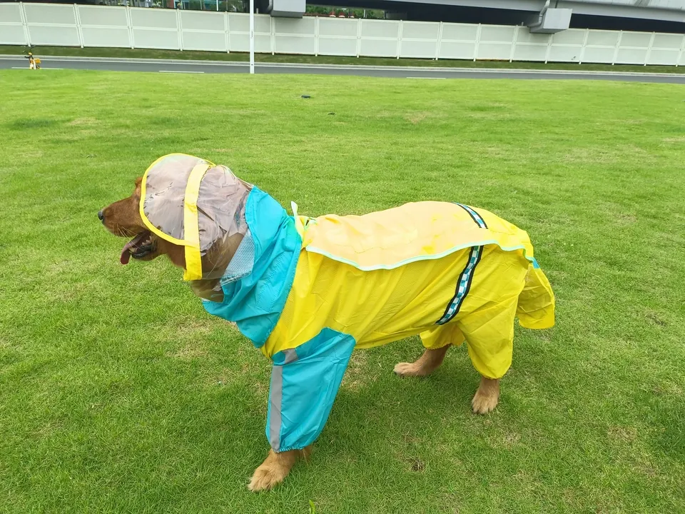 Imperméable Grand Chien Junto photo review