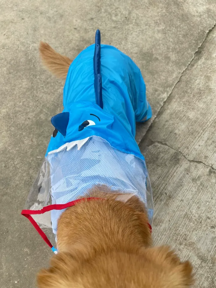 Imperméable Pour Grand Chien Dino photo review