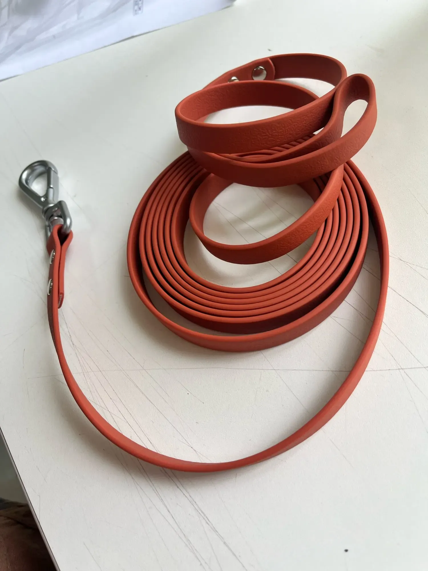 Laisse Chiens PVC Flat photo review