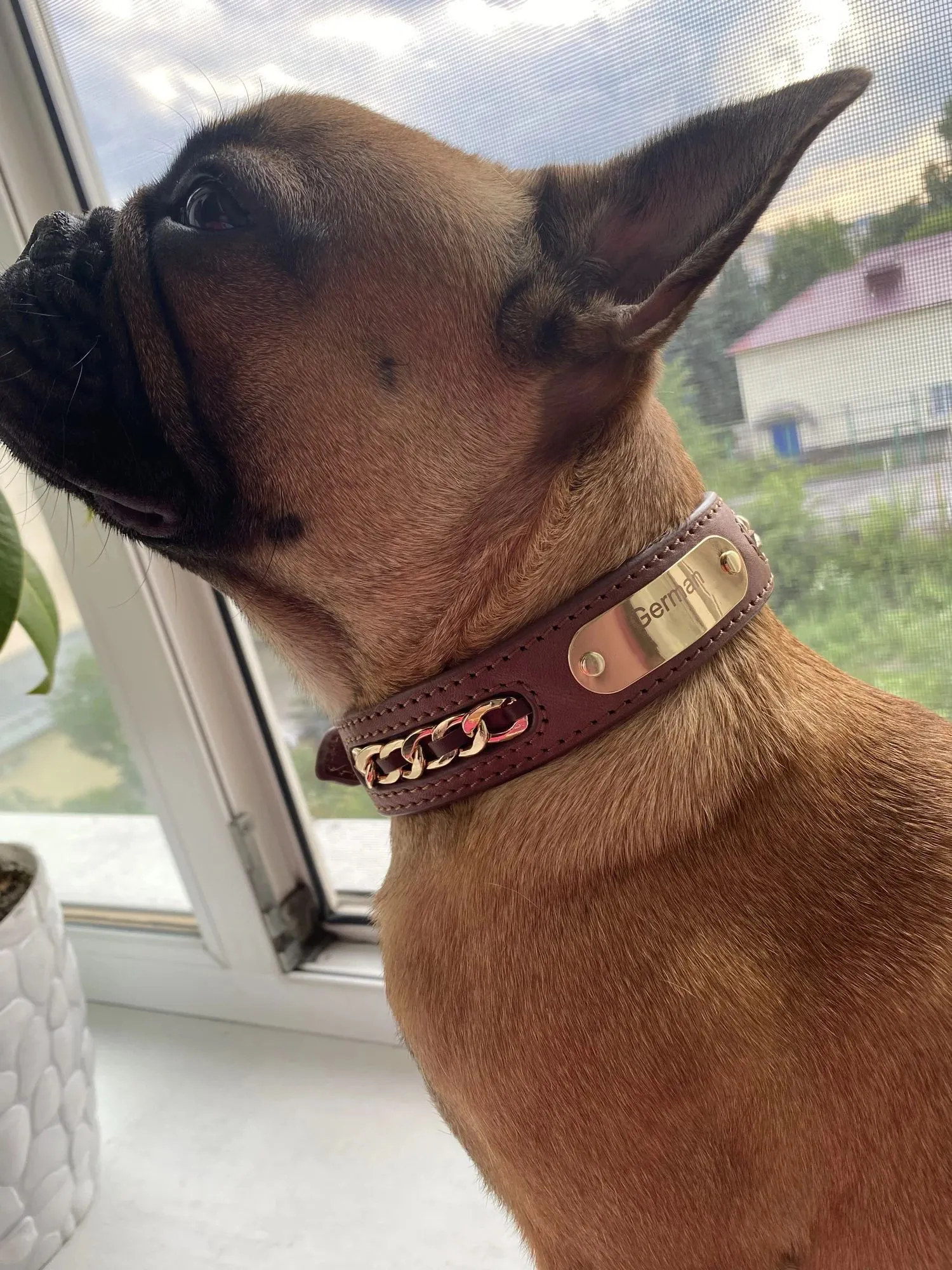 Collier Chien Cuir Personnalisé Punk photo review