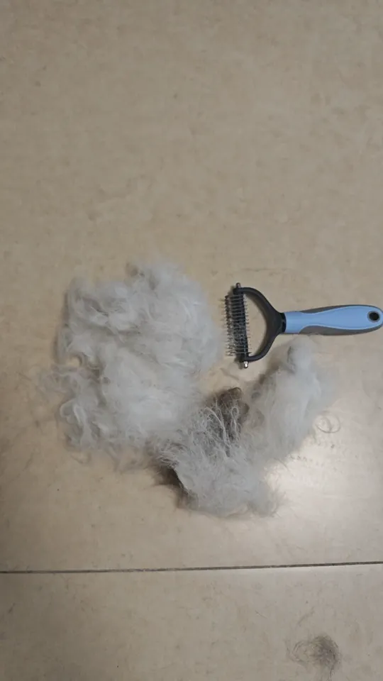 Peigne Pour Chien Double Face Beleza photo review