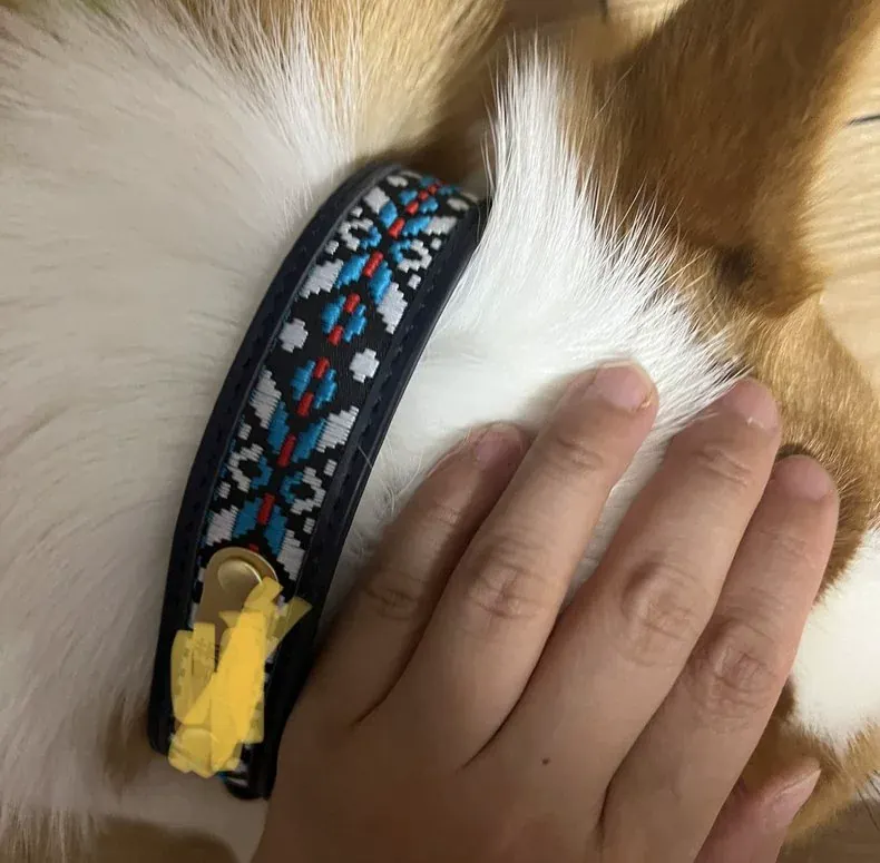 Collier Gravé Chien Multicolore Boho Brodé photo review