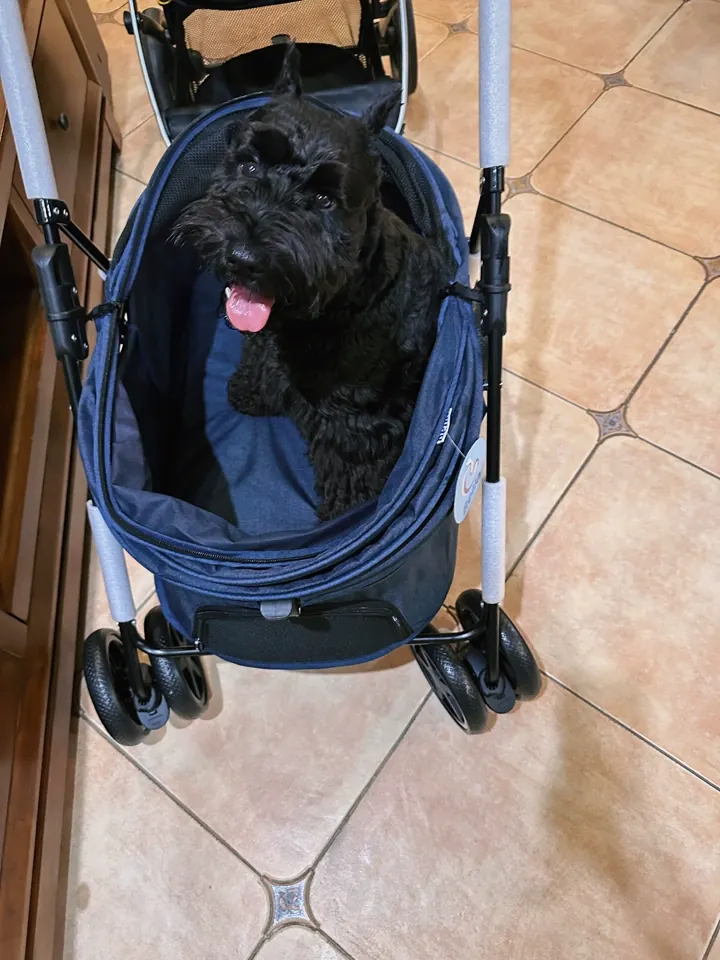 Poussette Pour Chien Tout Terrain Jardin photo review