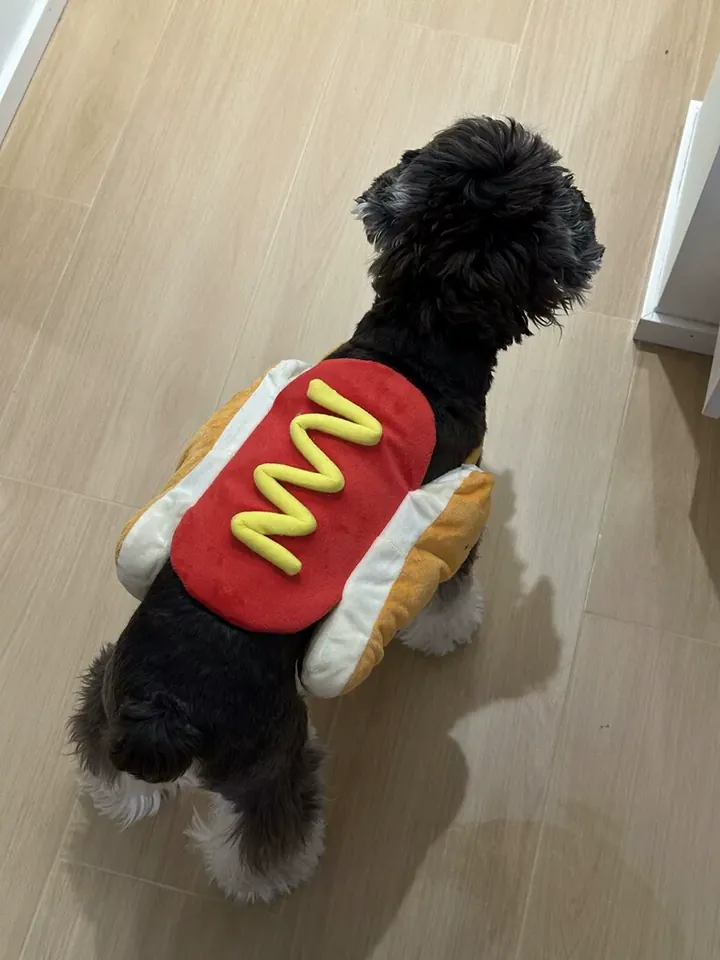 Costume Pour Chien Hotdog photo review