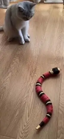 Jouet Chat Serpent Interactif photo review