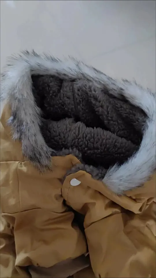 Manteau Pour Petit Chien À Capuche Schön photo review