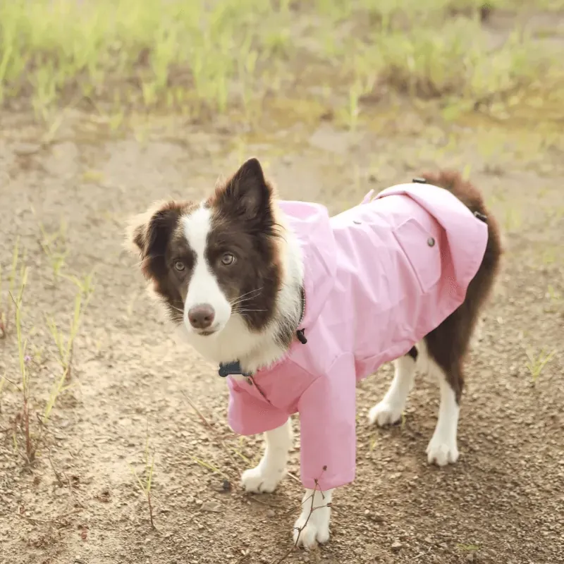 Manteau De Pluie Chien Gentle-Pet photo review