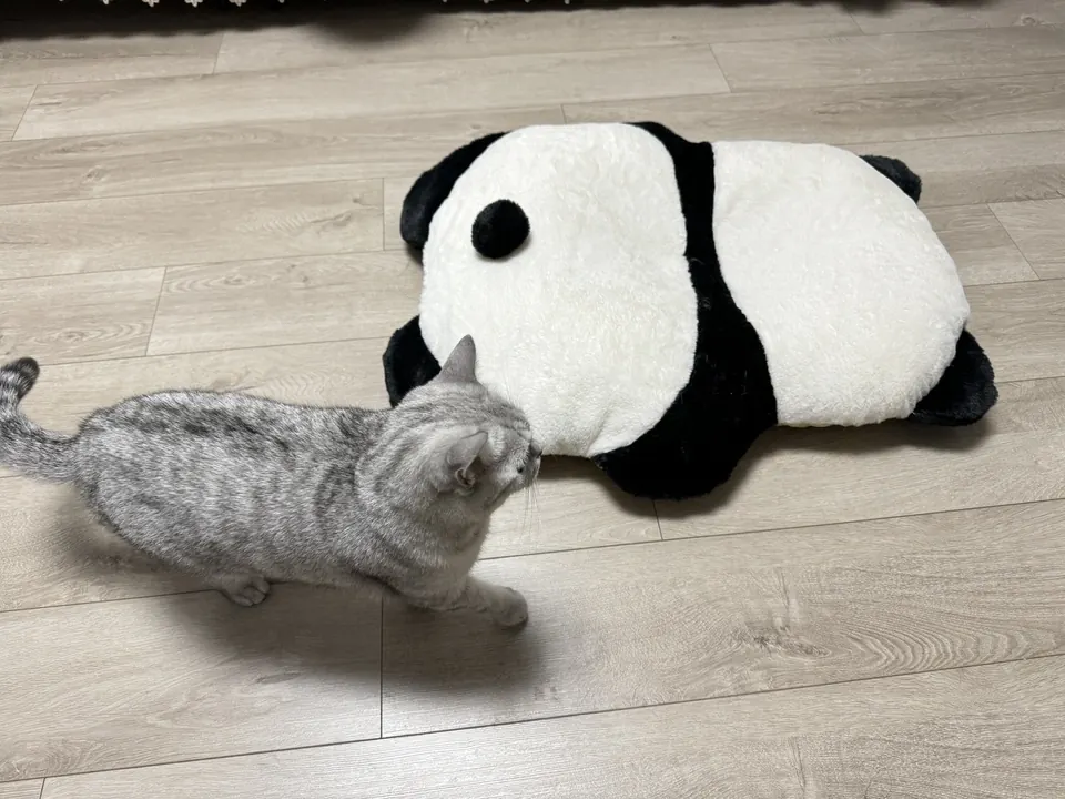 Coussin Pour Chat Panda photo review