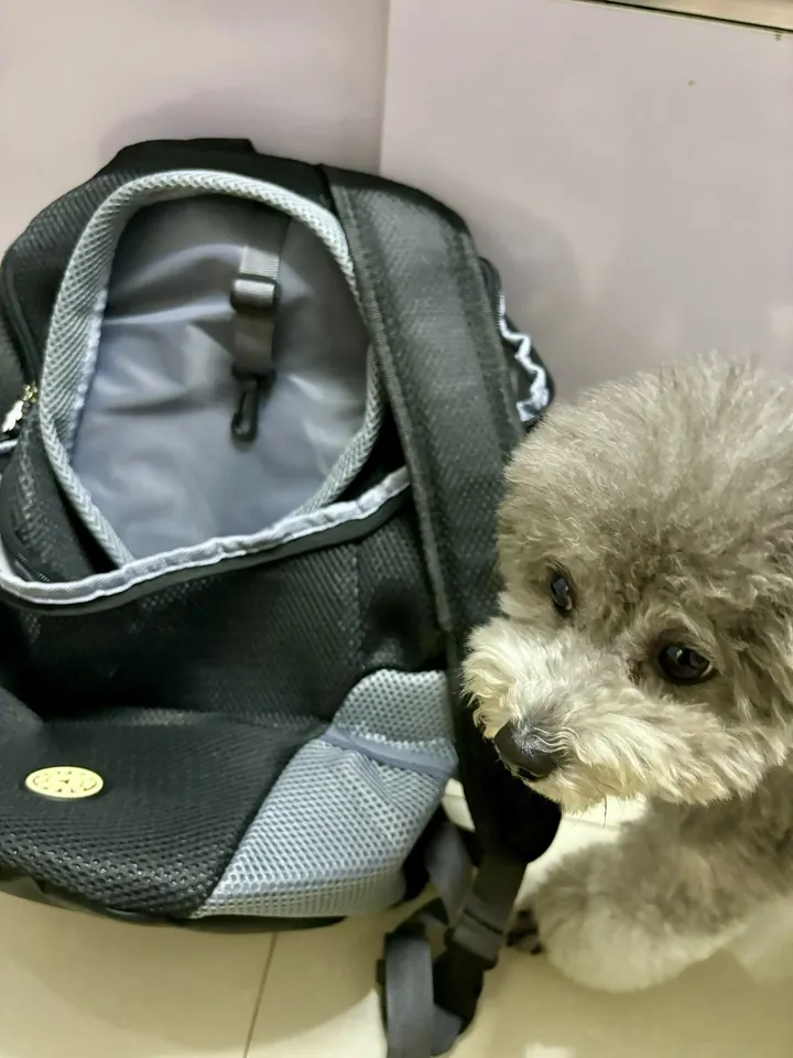 Sac De Transport Chien Vamos photo review