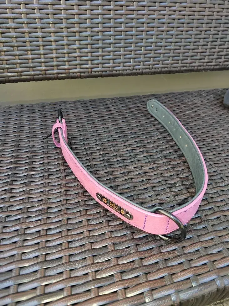 Collier Chien Cuir Personnalisable Beauty photo review