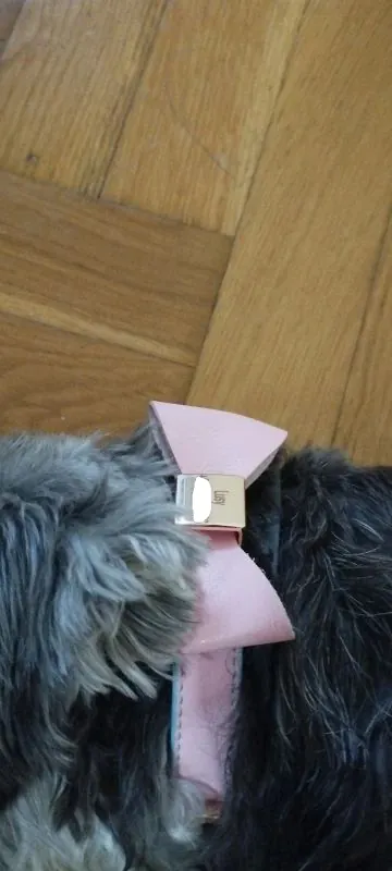 Collier Chien Sur Mesure Poli photo review