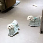 Cape Chien À Capuche Magie photo review