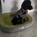Panier XXL Pour Chien Velours photo review