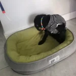 Panier XXL Pour Chien Velours photo review