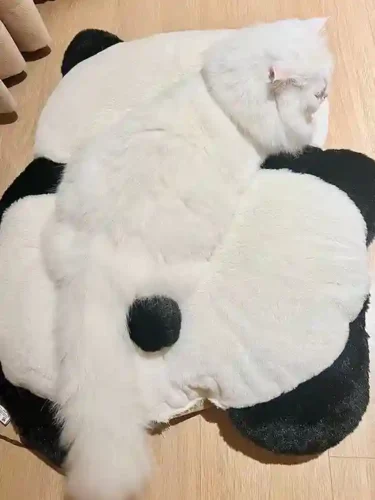 Coussin Pour Chat Panda photo review
