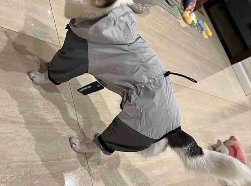 Imperméable Pour Chien Andare photo review