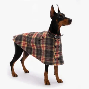 Cape Pour Chien Holmes