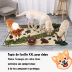 Un Corgi et Un labrador et un bulldog français jouant sur un tapis de fouille XXL pour chien.
