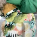 👘 Déguisement Pour Chien Princesse Kawaii👘 photo review