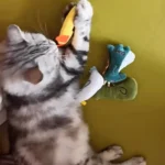 Doudou Pour Chat Erba Gatta photo review