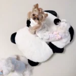 Coussin Pour Chien Panda photo review