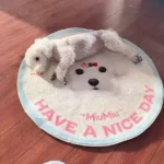 Tapis Chien Personnalisé Rond – Dessin Aquarelle photo review