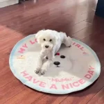 Tapis Chien Personnalisé Rond – Dessin Aquarelle photo review