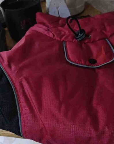 Manteau Imperméable Chien Äventyr photo review