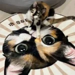Tapis Chat Personnalisé Rond – Dessin Aquarelle photo review