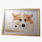 dessin-au-crayon-couleur-chien-corgi Dessin au crayon couleur d'un chien Corgi