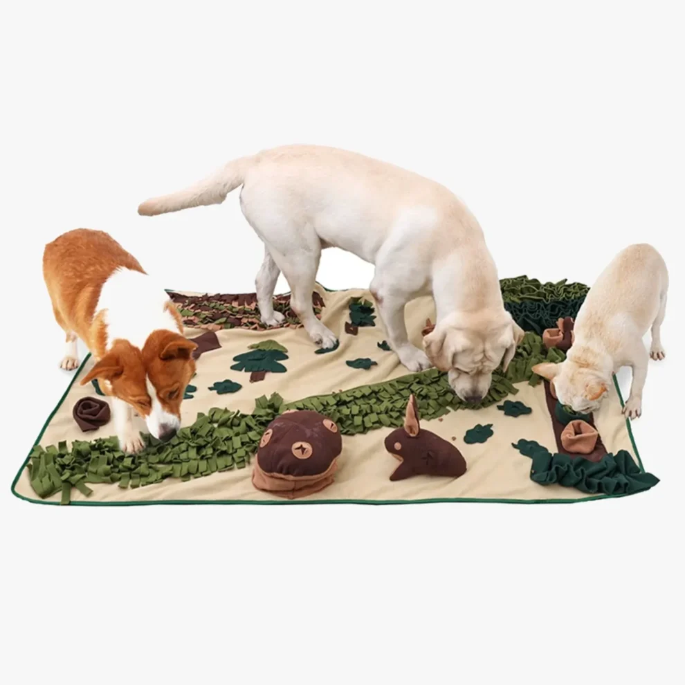 Labrador noir : caractère, génétique, santé et prix Tapis de fouille XXL pour grand chien, utilisé ici par un labrador pour ralentir la prise alimentaire et stimuler son odorat