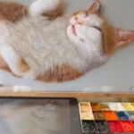 portrait-chat-dormir-3d-personnalisé