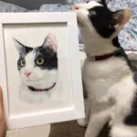 Portrait dessiné à la main d'un chat noir et blanc.