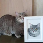 Portrait dessiné à la main d'un chat li-hua.