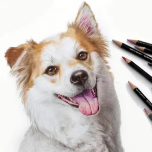 Portrait au crayon d'un corgi dessiné de manière vivante.