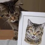 Portrait dessiné à la main d'un chat tigré.