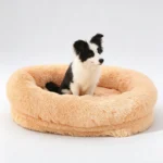 Border Collie assis dans un coussin apaisant pour chien abricot