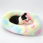 Border Collie couché dans un coussin apaisant pour chien arc-en-ciel tie and dye