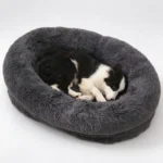 Coussin apaisant pour chien gris anthracite avec un Border Collie endormi