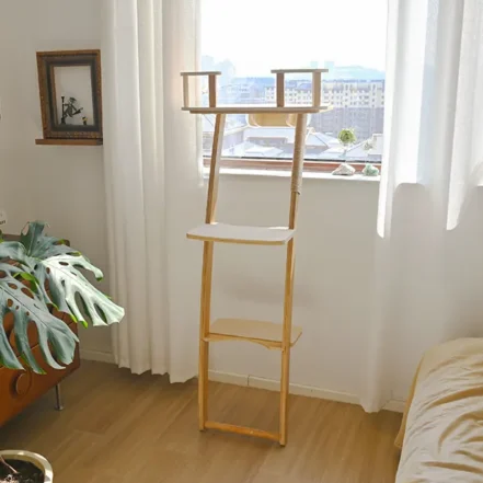 Maine Coon, Sibérien ou Norvégien : Comment Les Différencier Facilement Arbre à chat mural en bois massif - parfait pour grands chats comme Maine Coon et Norvégien