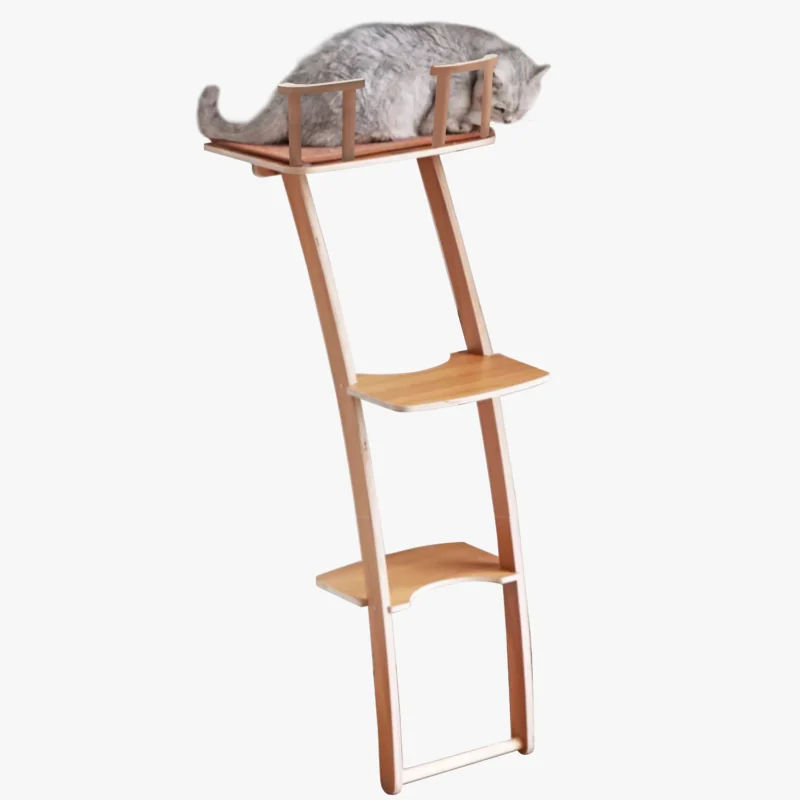 Un British Shorthair joue sur l’arbre à chat en forme d’escalier Un British Shorthair joue sur l’arbre à chat en forme d’escalier
