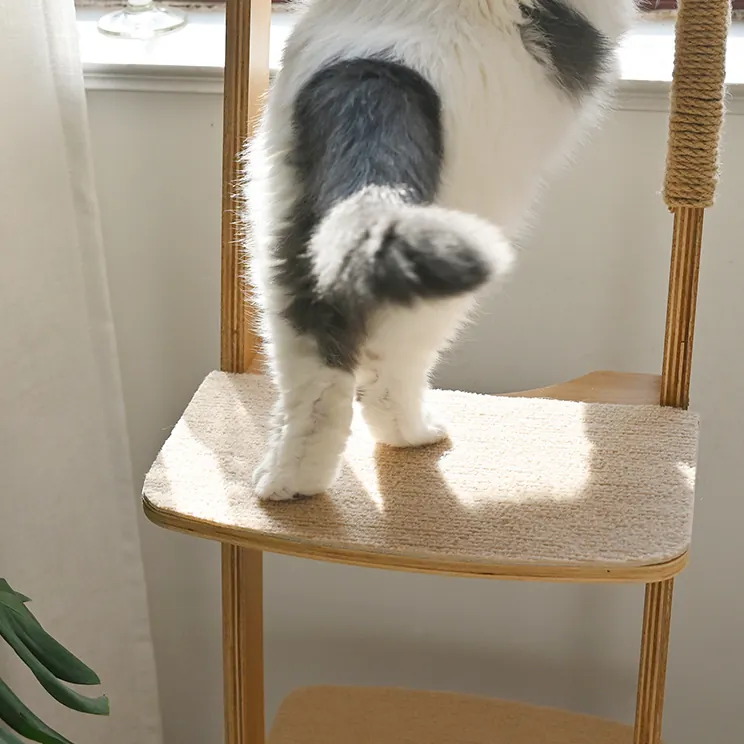 Un chat blanc monte l’escalier de l’arbre à chat