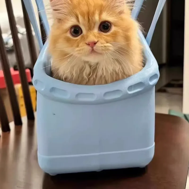 Un chat roux dans un sac bandoulière en caoutchouc écologique