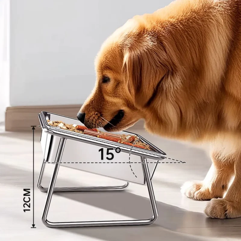 Un golden retriever en train de manger.