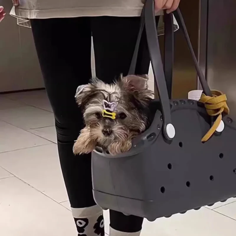 Un spitz dans un sac noir en caoutchouc écologique